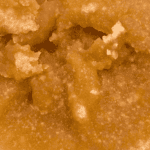 Gelato - Live Resin (Indica) (1/4 LB - 1 LB) - Image 4