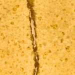 Lucky Charms Honeycomb - Crumble (Hybrid) (1/4 LB - 1 LB) - Image 5