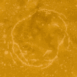 Kush Cake - Live Resin (Indica) (1/4 LB - 1 LB) - Image 5