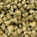 Scooby Snacks - Popcorn - Image 4