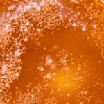 Death Gas - Live Resin (Indica) - Image 5