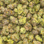 Frumpz (Crop #6) - Popcorn - Image 4