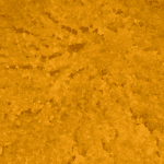 Dragon Fruit - Live Resin (Hybrid) - Image 5