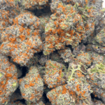 White Truffle - Craft Cannabis (1/4 LB - 1 LB) - Image 5