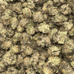 Gelato Cake - Popcorn (1/4 LB - 2 LB) - Image 5