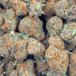 Do Si Dos - AAAA (1/4 LB - 2 LB) - Image 5