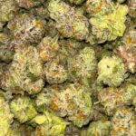 Frumpz (Crop #6) - Popcorn - Image 5