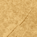 Amnesia Haze - Budder (Sativa) (1/4 LB - 1 KG) - Image 2