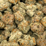 Ice Cream Cake - Popcorn (1/4 LB - 2 LB) - Image 5