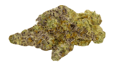 Frumpz (Crop #6) - Craft Cannabis