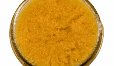 Mango Dream - Live Resin (Hybrid)
