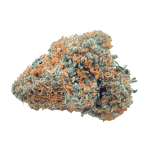 Orange Cookies - AAAA