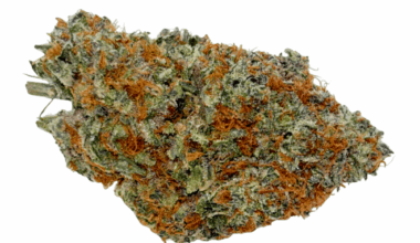 Strawberry Guava - AAAA (1/4 LB - 2 LB)