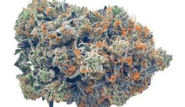 Tuna Kush - Craft Cannabis