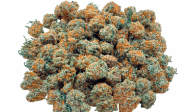 Orange Cookies - Popcorn