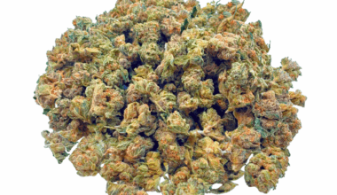 Critical Mass - Popcorn (1/4 LB - 2 LB)