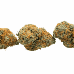 Orange Cookies - AAAA - Image 2