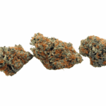 Strawberry Guava - AAAA (1/4 LB - 2 LB) - Image 3