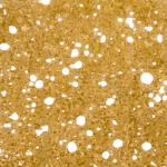 Golden Pineapple - Shatter (1/4 LB) - Image 4