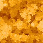 Gas Face - Live Resin (Hybrid) - Image 5