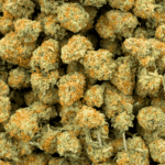 Orange Cookies - Popcorn - Image 4