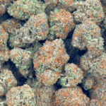 Strawberry Guava - AAAA (1/4 LB - 2 LB) - Image 5