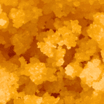 Gas Face - Live Resin (Hybrid) - Image 2