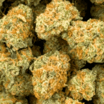 Orange Cookies - Popcorn - Image 5