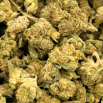 Critical Mass - Popcorn (1/4 LB - 2 LB) - Image 5
