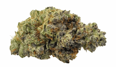 Blue Lobster - Craft Cannabis (1/4 LB - 1 LB)