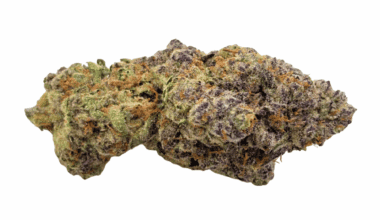 Apple Fritter - AAAA