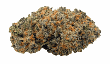 Meatbreath - AAAA (1/4 LB - 2 LB)