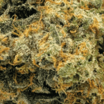 Congolese - AAAA (1/4 LB - 2 LB) - Image 2