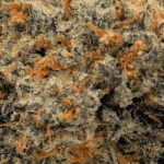 Meatbreath - AAAA - Image 2