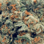 Orangeade - AAAA - Image 2