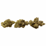 Blue Lobster - Craft Cannabis - Image 2