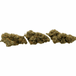 Orangeade - AAAA (1/4 LB - 2 LB) - Image 2