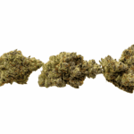 Blue Lobster - Craft Cannabis - Image 3