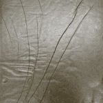 Fire OG - Hash - Image 5