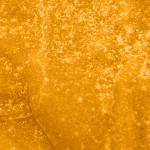 Dragon Fruit - Budder (Hybrid) - Image 5