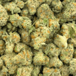 Critical Haze - Popcorn - Image 4