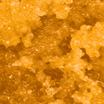 Honey Cream - Live Resin (Hybrid) - Image 2