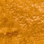 Passionfruit - Live Resin (Hybrid) (1/4 LB - 1 LB) - Image 2