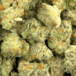 Critical Haze - Popcorn (1/4 LB - 2 LB) - Image 5