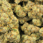 Congolese - AAAA (1/4 LB - 2 LB) - Image 5