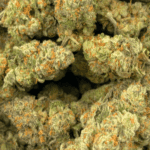 Orangeade - AAAA - Image 5