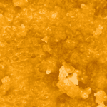 Mango Dream - Live Resin (Hybrid) (1/4 LB - 1 LB) - Image 2