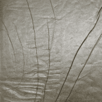 Fire OG - Hash (1/4 LB - 1 KG) - Image 2