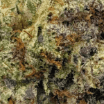 Blue Lobster - Craft Cannabis (1/4 LB - 1 LB) - Image 2