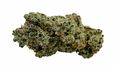 Blue Lobster (Crop #6) - Craft Cannabis